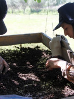 Son humanos los huesos hallados en la finca donde vivía Johana Chacón