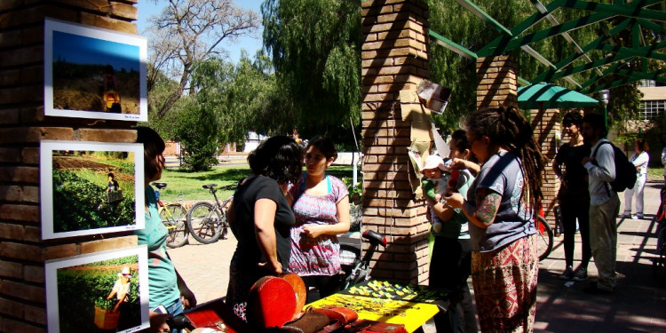 Primavera con economía solidaria en la Casita Colectiva