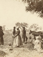 Muestra museográfica "Mendoza Negra. Esclavitud, trabajo y cultura afrodescendiente en la historia cuyana"