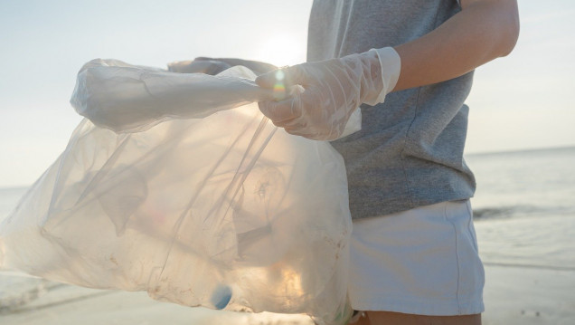 imagen Desarrollaron un "imán" ecológico para capturar microplásticos en los océanos