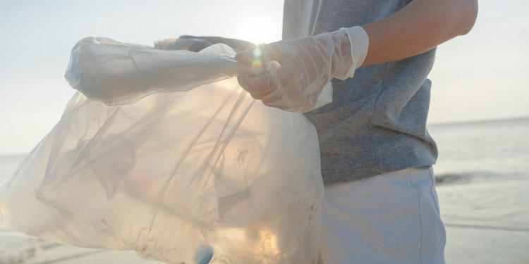 Desarrollaron un "imán" ecológico para capturar microplásticos en los océanos