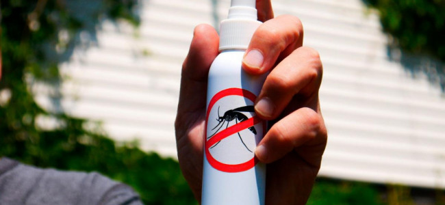 "El dengue quedará como enfermedad endémica porque Argentina se está tropicalizando"