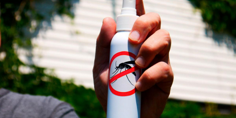 "El dengue quedará como enfermedad endémica porque Argentina se está tropicalizando"