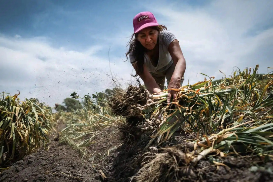 ¿Transicionar a qué? Las trampas que esconde el horizonte sostenible de la agroecología 