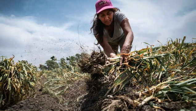 imagen ¿Transicionar a qué? Las trampas que esconde el horizonte sostenible de la agroecología 