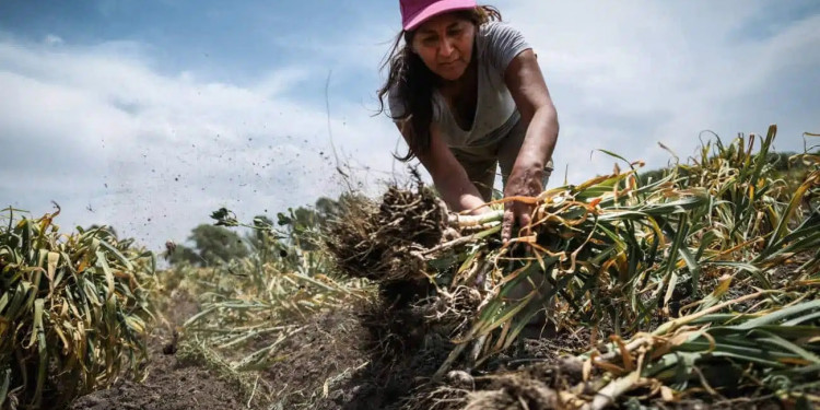 ¿Transicionar a qué? Las trampas que esconde el horizonte sostenible de la agroecología 