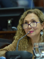 El PJ reclama un "Consejo Anticrisis" a Cornejo
