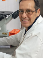 Una planta autóctona de Mendoza abre camino en la lucha contra el cáncer