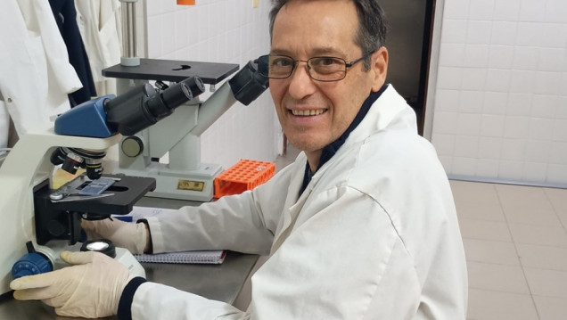 imagen Una planta autóctona de Mendoza abre camino en la lucha contra el cáncer