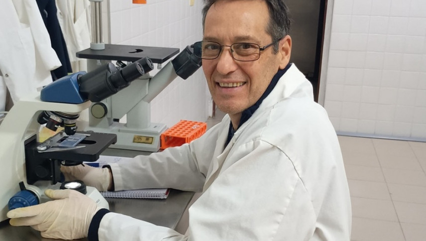 imagen que ilustra noticia Una planta autóctona de Mendoza abre camino en la lucha contra el cáncer