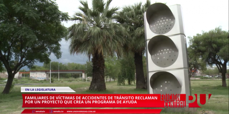 Proyecto para víctimas de accidentes viales