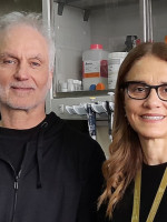 Publicaron los primeros estudios sobre cómo los tratamientos de cáncer de mama influyen en la supervivencia de pacientes