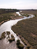 Las mendocinas realizan más acciones que los mendocinos por el cuidado del ambiente