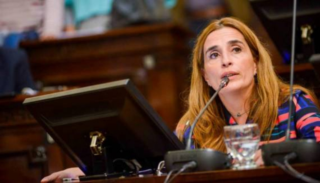 Fernanda Lacoste: "Me encantaría conducir un PJ democratizado, amplio y abierto"