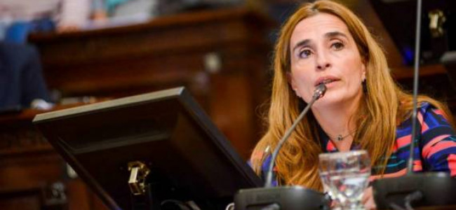 Fernanda Lacoste: "Me encantaría conducir un PJ democratizado, amplio y abierto"