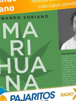 La historia del cannabis y los datos más curiosos reunidos en un nuevo libro