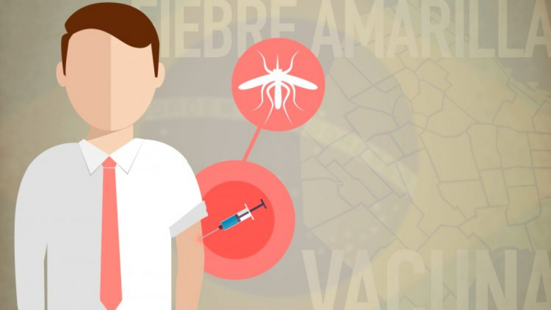 Sólo el mosquito contagia la fiebre amarilla: cuándo vacunarse y cuándo no