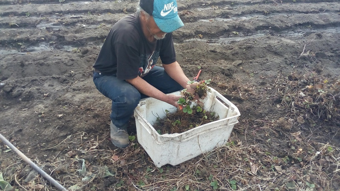 Familias campesinas resisten el desalojo de las tierras en que producen hace 20 años