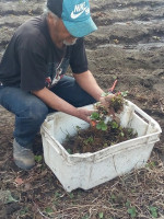 Familias campesinas resisten el desalojo de las tierras en que producen hace 20 años