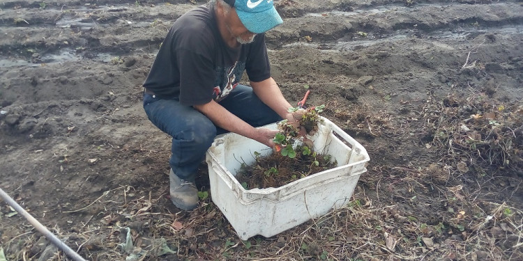 Familias campesinas resisten el desalojo de las tierras en que producen hace 20 años