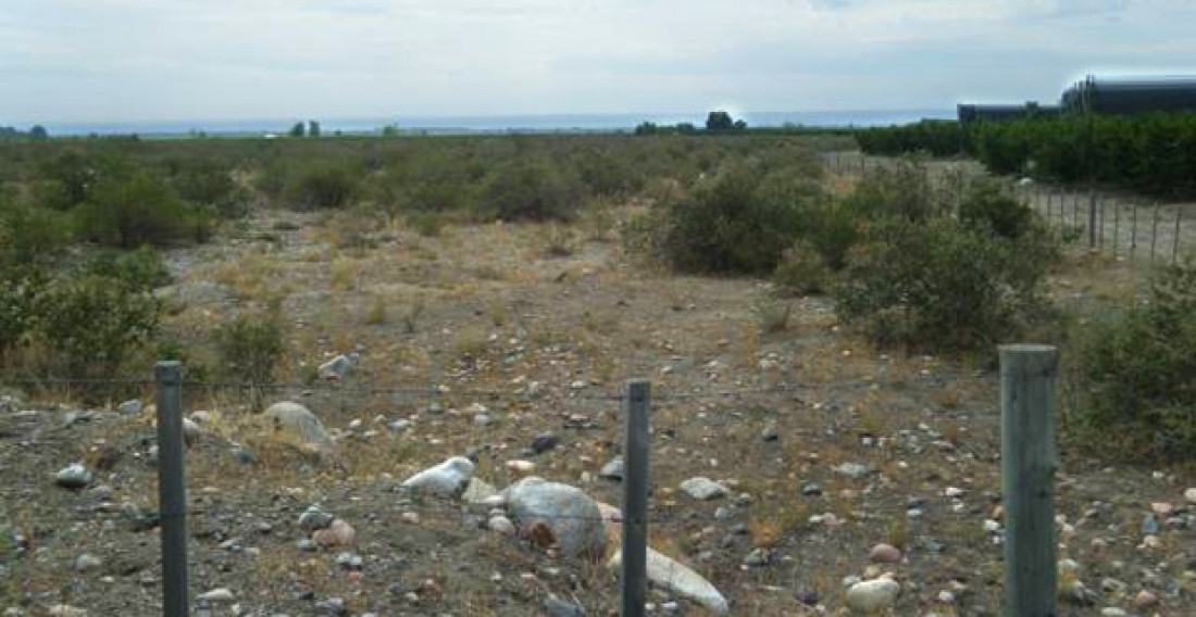 La UST y la expropiación de tierras mendocinas