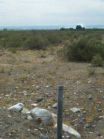 La UST y la expropiación de tierras mendocinas