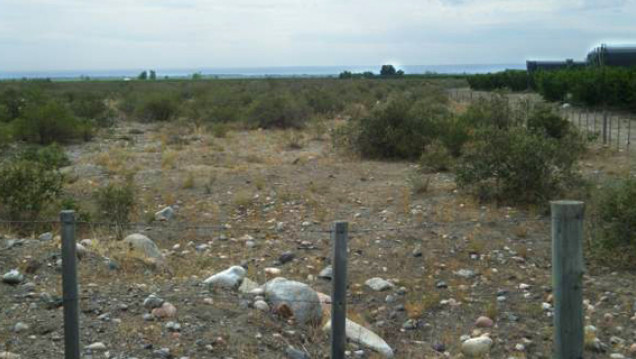 imagen La UST y la expropiación de tierras mendocinas