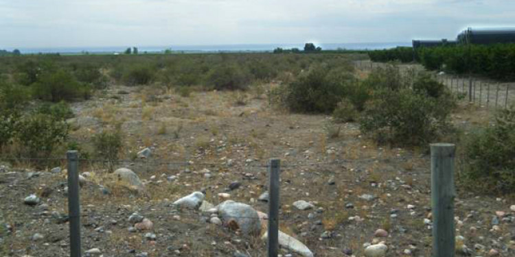 La UST y la expropiación de tierras mendocinas