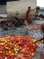 Latinoamérica podría erradicar el hambre con los alimentos que desperdicia