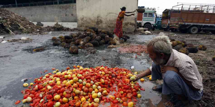 Latinoamérica podría erradicar el hambre con los alimentos que desperdicia