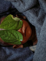 El reportaje fotográfico de los rohinyás que ganó el Pulitzer 2018