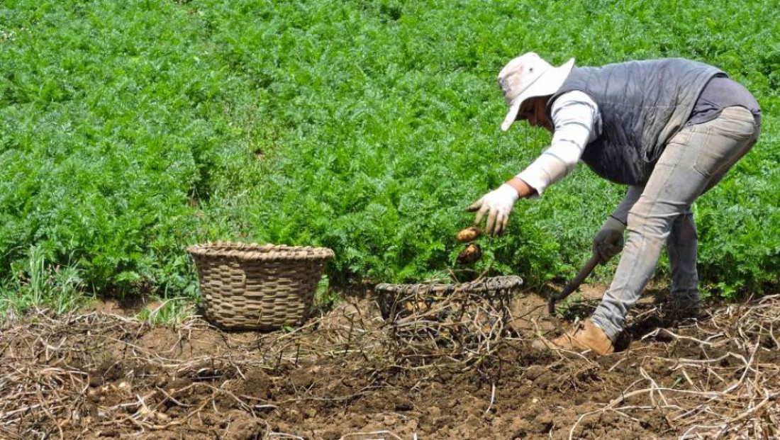 Ya es ley el nuevo Sistema de Emergencia Agropecuaria en Mendoza