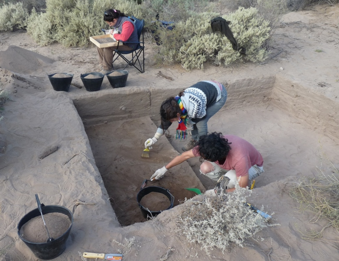 La diversidad en la mirada de la arqueología de las sociedades indígenas colonizadas