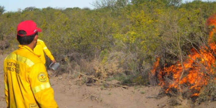 Brigadistas controlaron un incendio forestal en la zona de Villavicencio