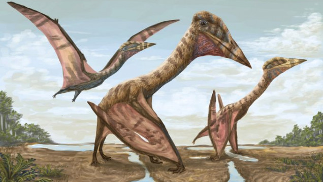 imagen Presentan en Mendoza una nueva especie de reptil alado, el más grande de Sudamérica