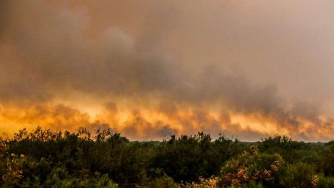 El fuego ya arrasó cerca de cien mil hectáreas en General Alvear 