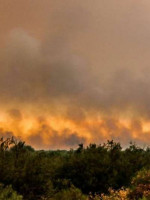 El fuego ya arrasó cerca de cien mil hectáreas en General Alvear 