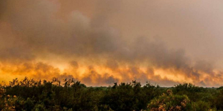 El fuego ya arrasó cerca de cien mil hectáreas en General Alvear 