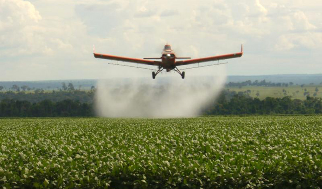 Eleisegui: "El Gobierno blanqueó la decisión de habilitar el uso de pesticidas"