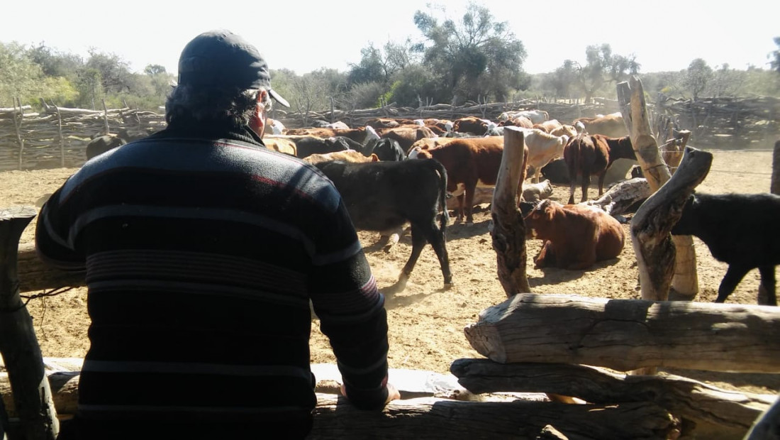 Mendoza declaró la Emergencia Agropecuaria por los efectos de la sequía