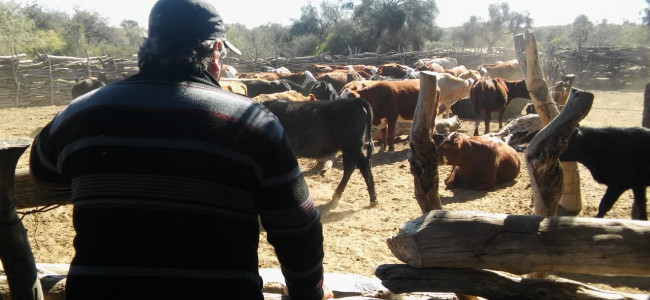 Mendoza declaró la Emergencia Agropecuaria por los efectos de la sequía