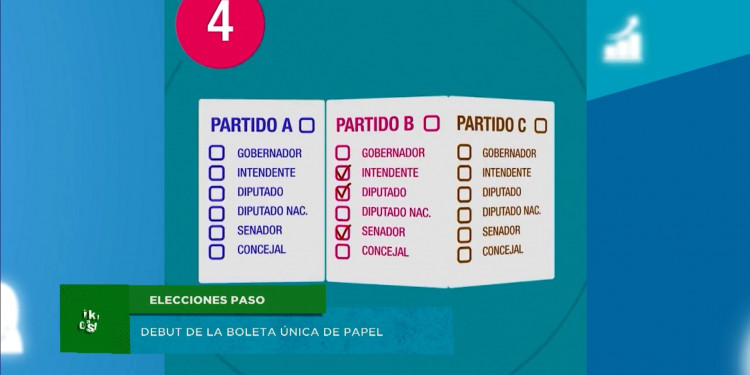 Las PASO, una oportunidad para entrar a la vida interna de los partidos políticos