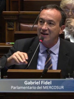 Gabriel Fidel y el riesgo que corre el Mercosur con Bolsonaro