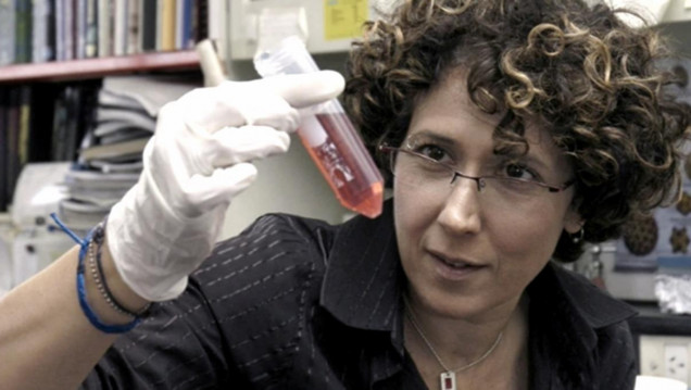 imagen Andrea Gamarnik fue incorporada a la Academia Estadounidense de las Artes y las Ciencias