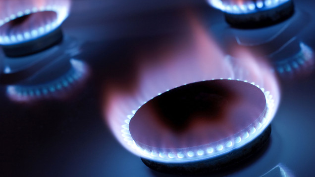 imagen Protectora se opone al proyecto que adecua la tarifa del gas