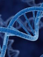 La genética al servicio de nuestra salud