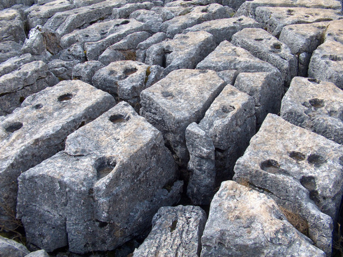 Nueva carrera de Geología en Malargüe