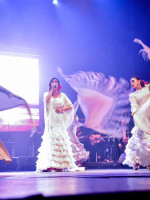 La "Gipsy Experience" brinda la última función del año el 27 de octubre