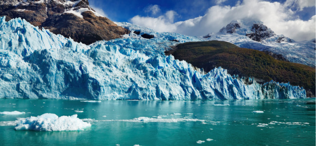 Cambio climático en Mendoza: los signos visibles que modificaron el ecosistema 