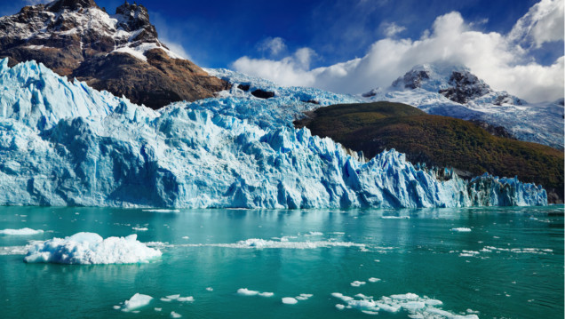 imagen Cambio climático en Mendoza: los signos visibles que modificaron el ecosistema 